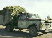 The hop harvest in Yakima Valley as seen in the new short film, Hop Dreams. (image courtesy of Firestone Walker Brewing)