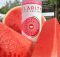 image of Clarity Watermelon Hard Seltzer courtesy of Eel River Brewing