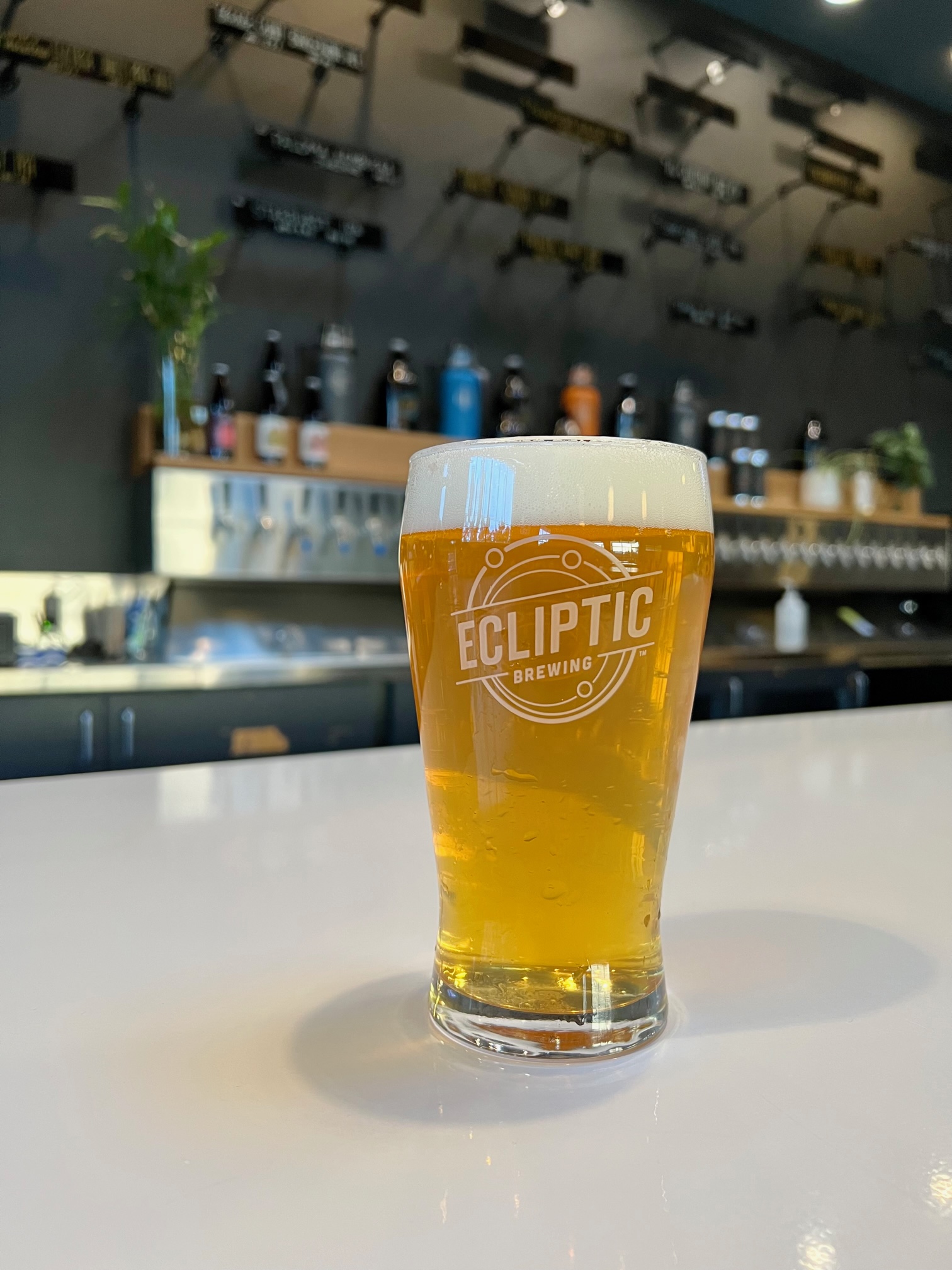 A pint of Phantom Galaxy IPA at the re-opened Moon Room from Ecliptic Brewing.