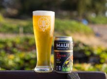image of Da Hawaii Life Lager courtesy of Maui Brewing Co.