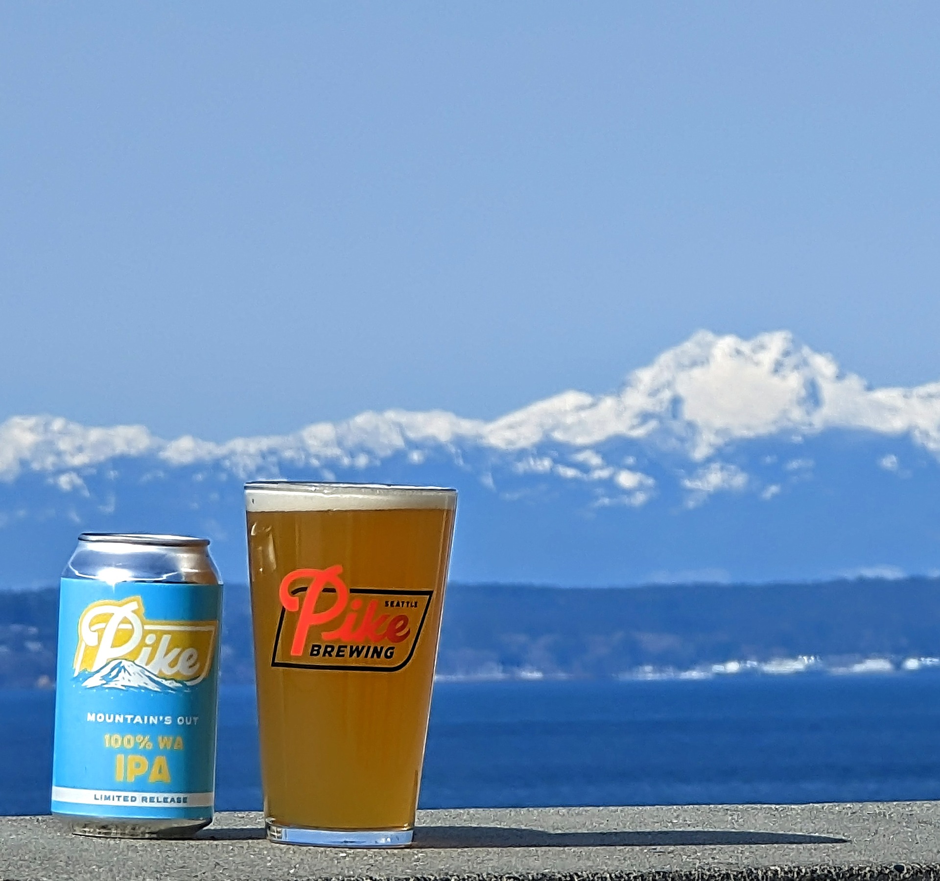 image of Mountain's Out 100% WA IPA courtesy of Pike Brewing