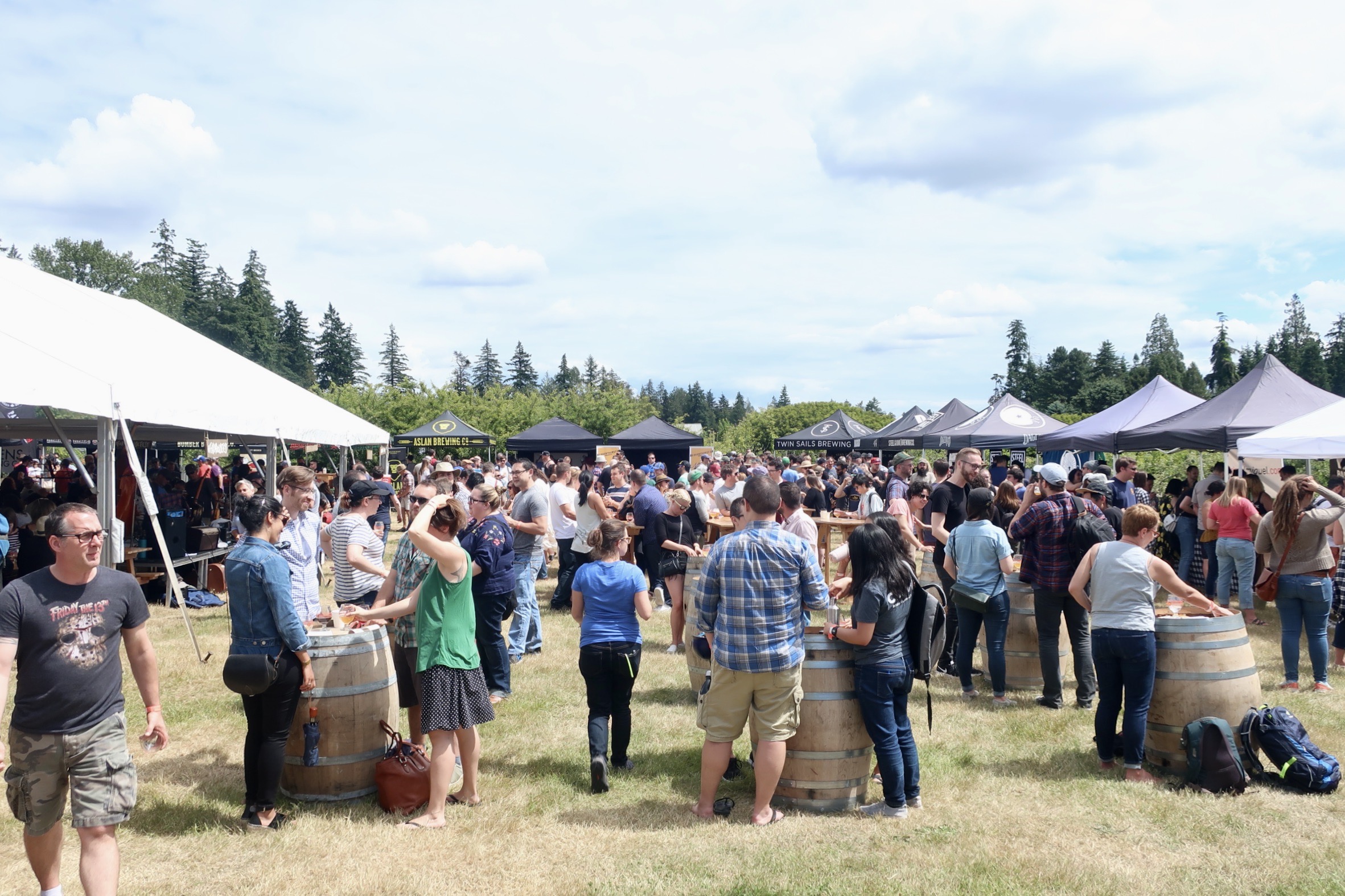 The festive crowd at Farmhouse Fest in Vancouver, BC.