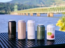The new year-round lineup of canned beers from Ferment Brewing includes 12° Pils, India Pale Ale, Hana Pils, Lost in Fragaria, and Nitro Dry Stout. (image courtesy of Ferment Brewing)