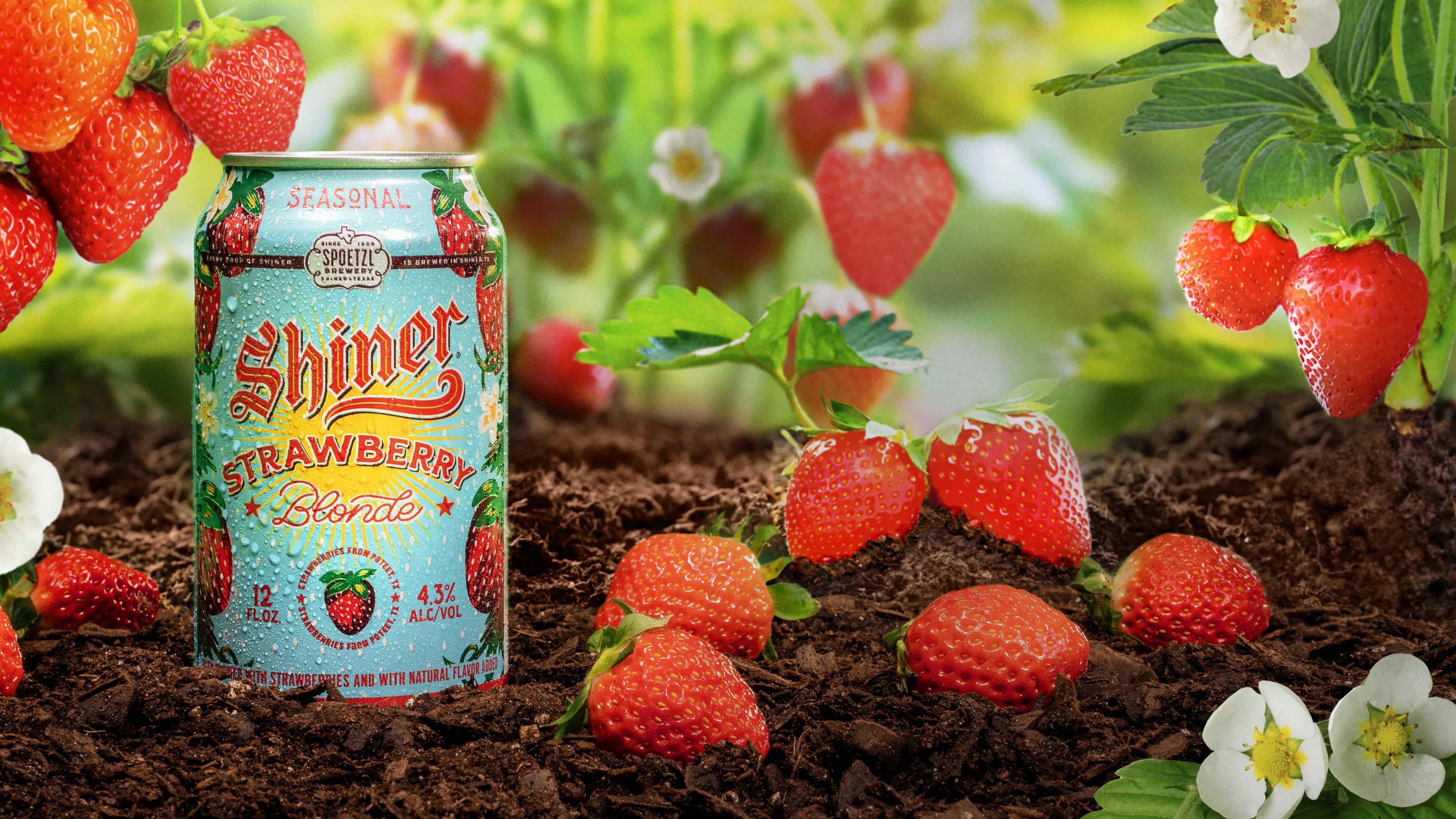 Shiner Returns with Strawberry Blonde, its Summer Seasonal –