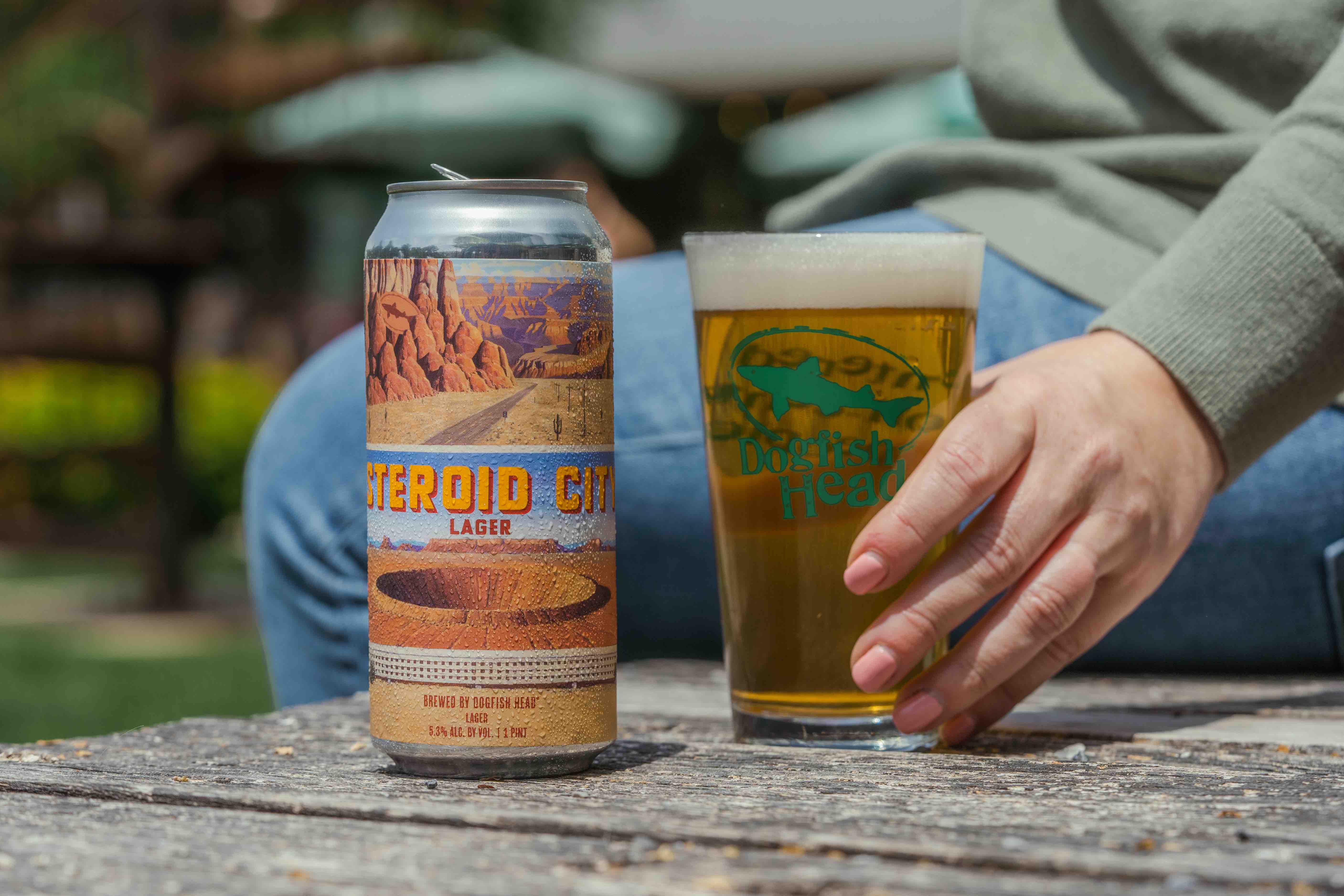 image of Asteroid City Lager courtesy of Dogfish Head Craft Brewery