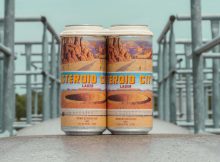 image of Asteroid City Lager courtesy of Dogfish Head Craft Brewery