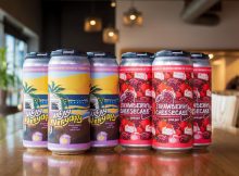 image of Strawberry Cheesecake and Vacay Everyday courtesy of WeldWerks Brewing Co.