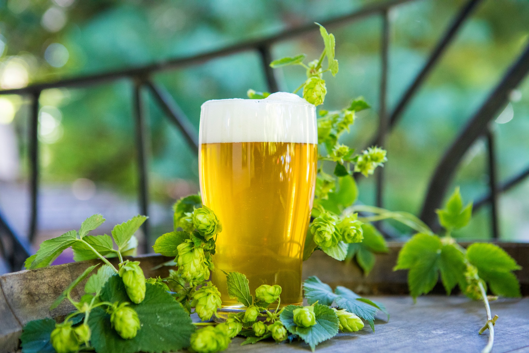 McMenamins Wilsonville Old Church and Pub returns with its Fresh Hopped Fest. (image courtesy of McMenamins)