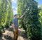 Van Havig inspecting the hops in the hop fields of Oregon's Willamette Valley. (image courtesy of Gigantic Brewing)