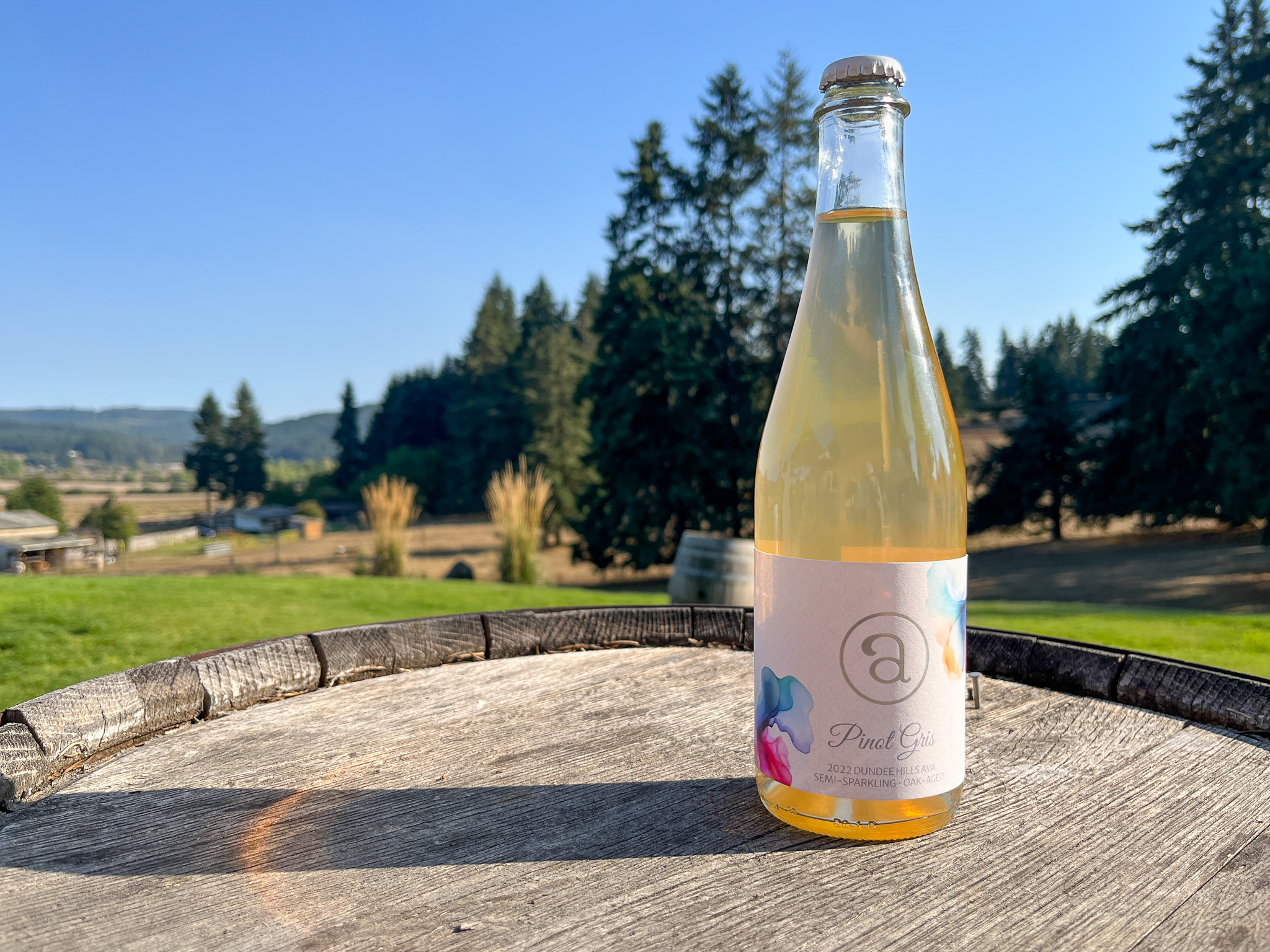 image of Alesong Pinot Gris courtesy of Alesong Brewing & Blending