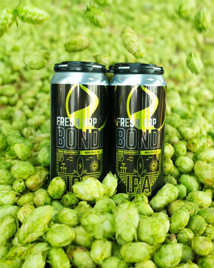 Gold Mecal winning Sunriver Brewing Company - Bondi Fresh Hop Strata. (image courtesy of Sunriver Brewing Co.)