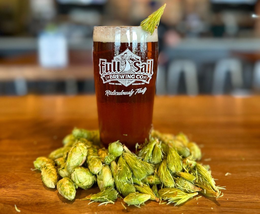 image of Hops & Pines Fresh Hop IPA courtesy of Full Sail Brewing Company