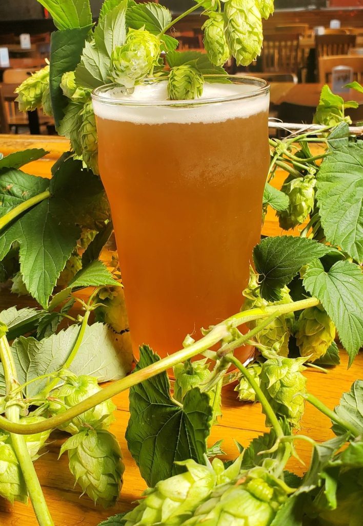 image of The Mutt, Lucky Labrador Brewing Company's fresh hop beer is courtesy of the brewery