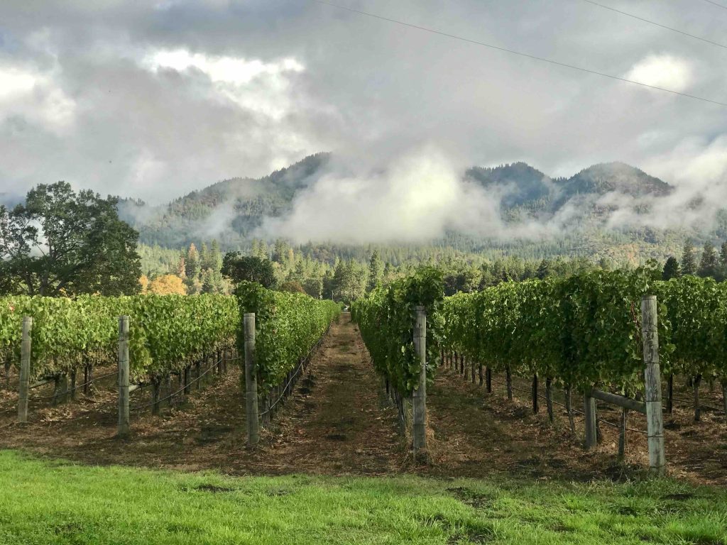 Follow the Applegate Valley Wine Trail in Grants Pass, Oregon.(image courtesy of Vist Grants Pass)