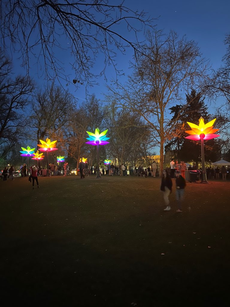 The lights during the 2024 Treefort Music Fest at Julia Davis Park.