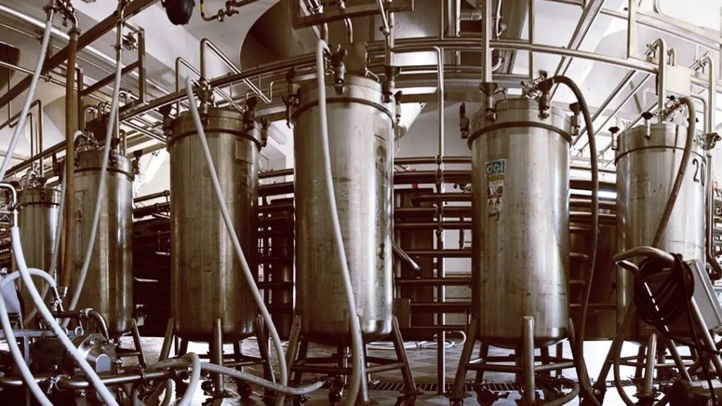 image of hop torpedos courtesy of Sierra Nevada Brewing Co.