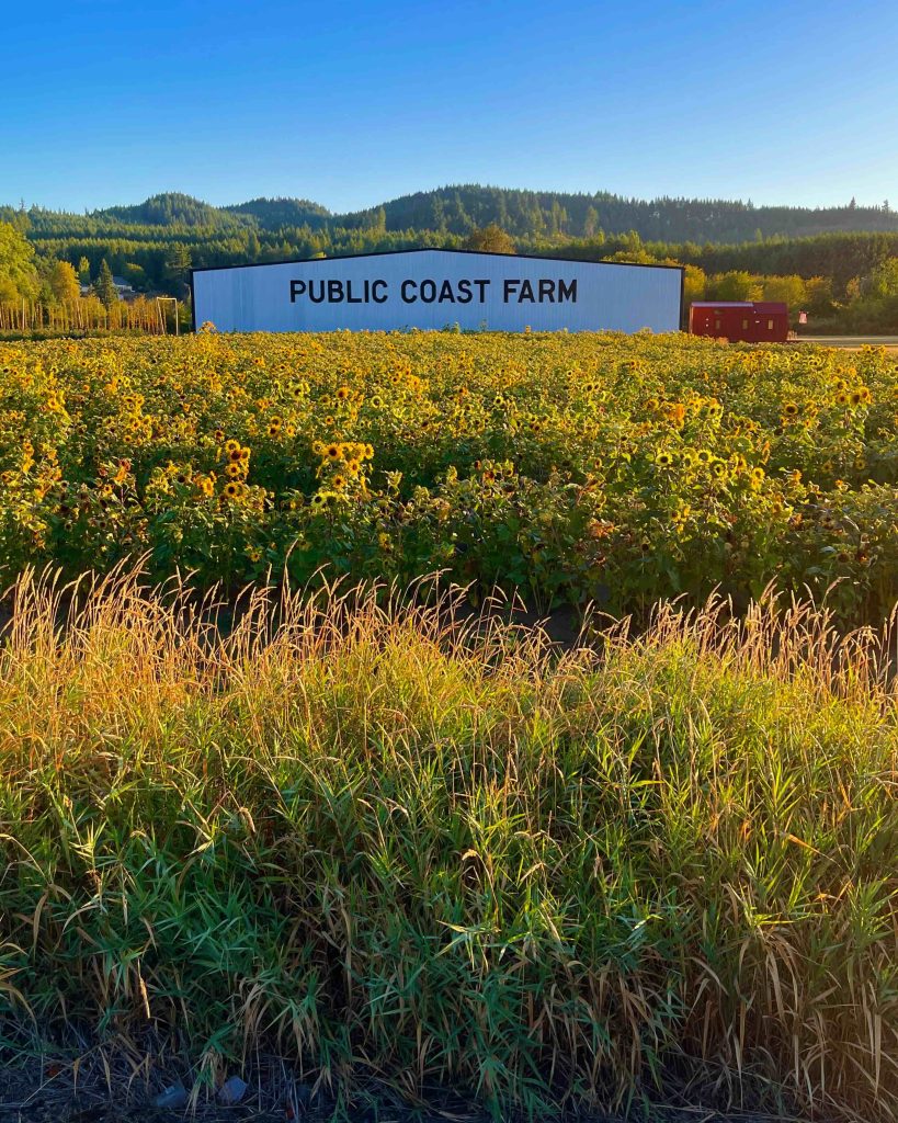 image of Public Coast Farm courtesy of Public Coast Brewing