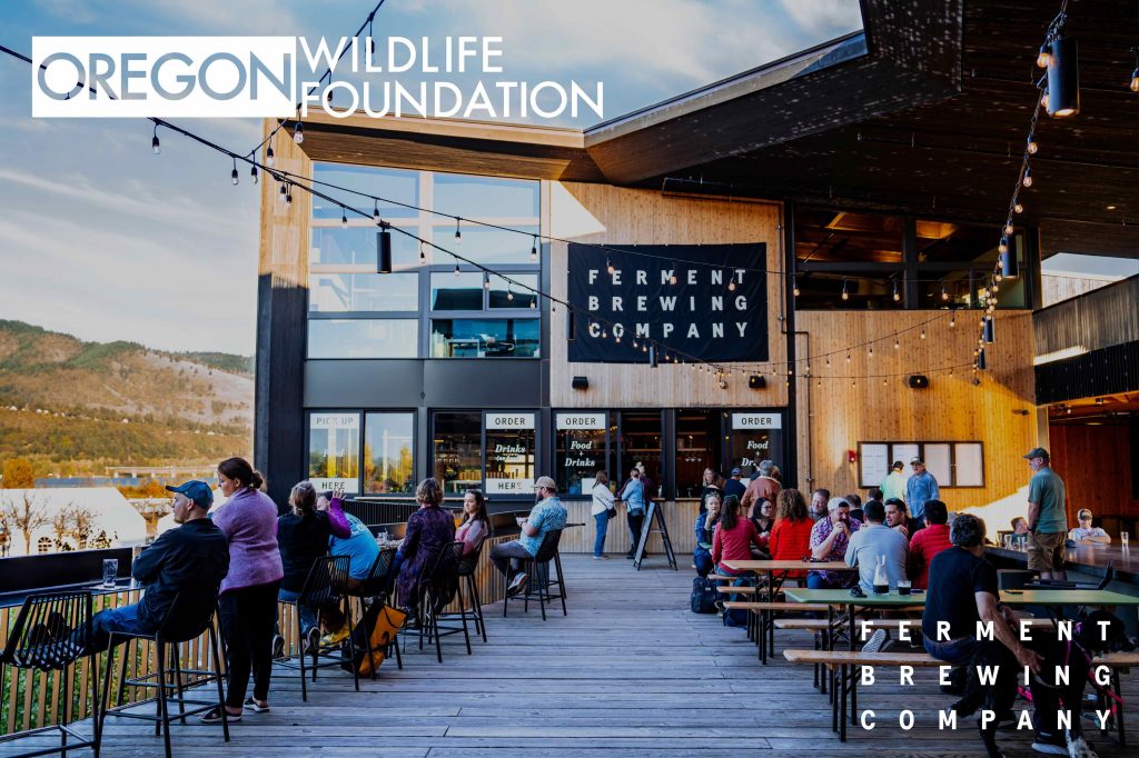 Ferment Brewing & Oregon Wildlife Foundation Partner on a Beer to Honor Herman The Sturgeon